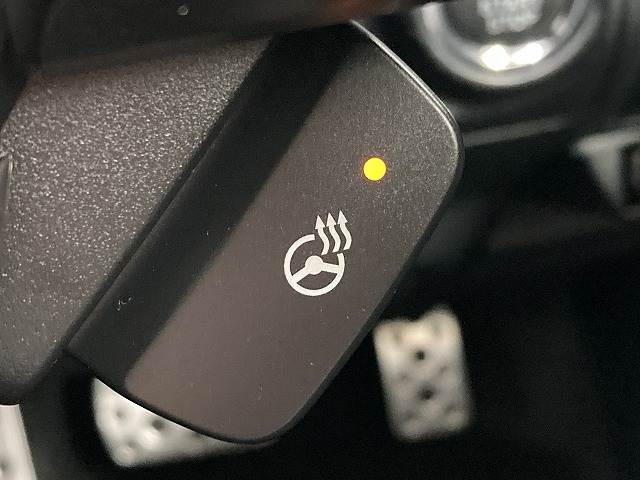 スバル&nbsp;フォレスターの画像11