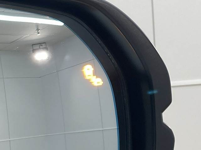 ホンダ ステップワゴンの画像11