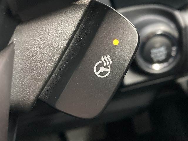 スバル&nbsp;フォレスターの画像10