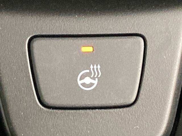 ホンダ&nbsp;ZR-Vの画像9