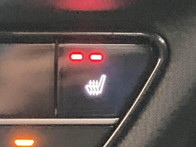 ホンダ&nbsp;ZR-Vの画像10