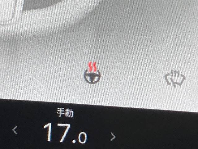 テスラ&nbsp;Model Yの画像6