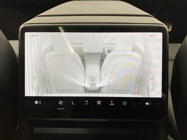 Model 3RWD 内装他