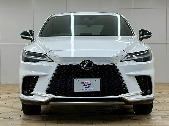 レクサス RXの画像15