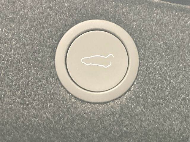 テスラ Model 3の画像8