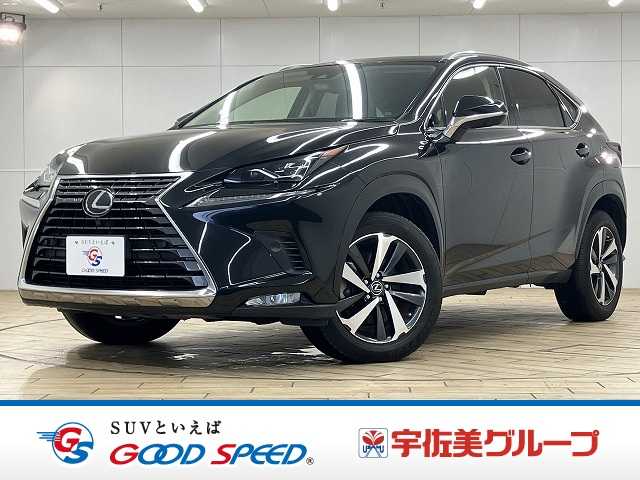 レクサスNXNX300 Iパッケージ サンルーフ/オプション18インチアルミ/3眼LEDヘッドライト/レーダークルーズコントロール/パワーバックドア/パワーシート/衝突軽減ブレーキ/レーンディパーチャアラート/オートハイビーム 外観