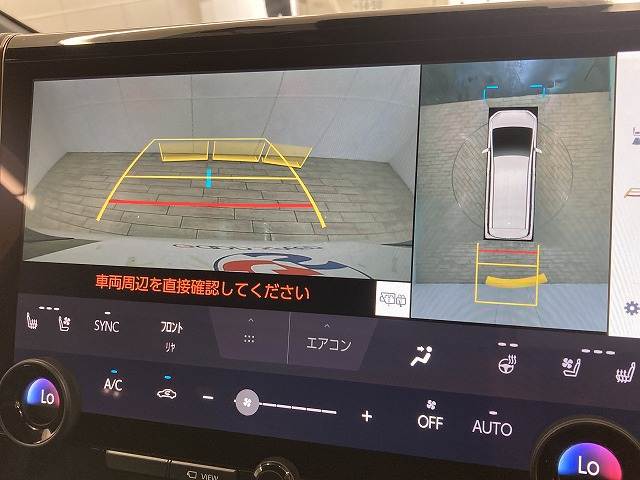 アルファードZ 内装他