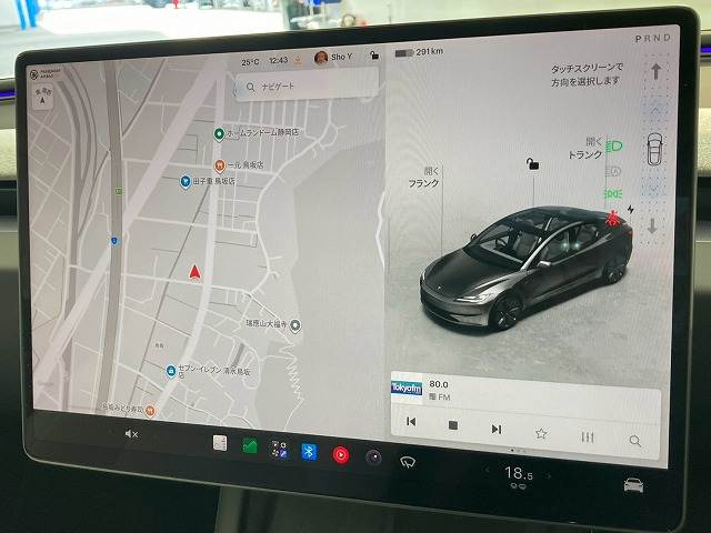 Model 3RWD 内装他