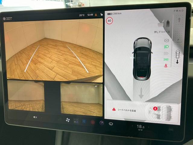 Model 3RWD 内装他
