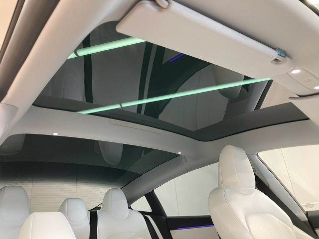 Model 3RWD 内装他