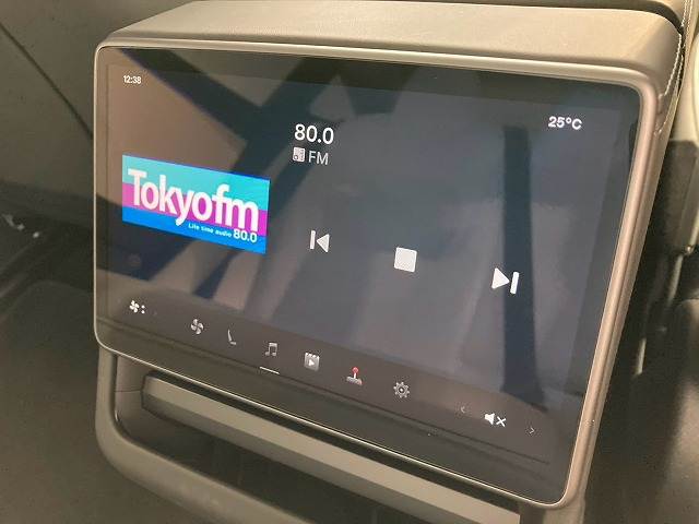 Model 3RWD 内装他