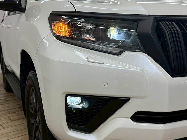 トヨタ ランドクルーザープラドの画像19