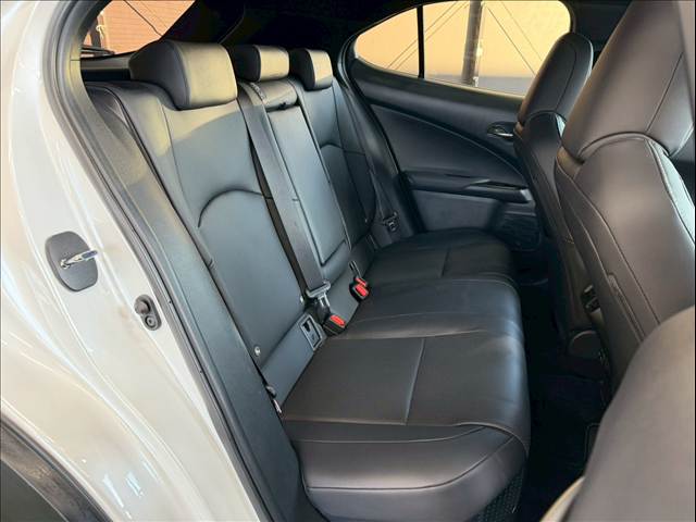 UXUX250h“version L” 内装他