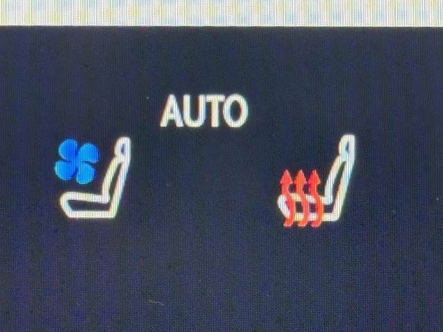 レクサス NXの画像12