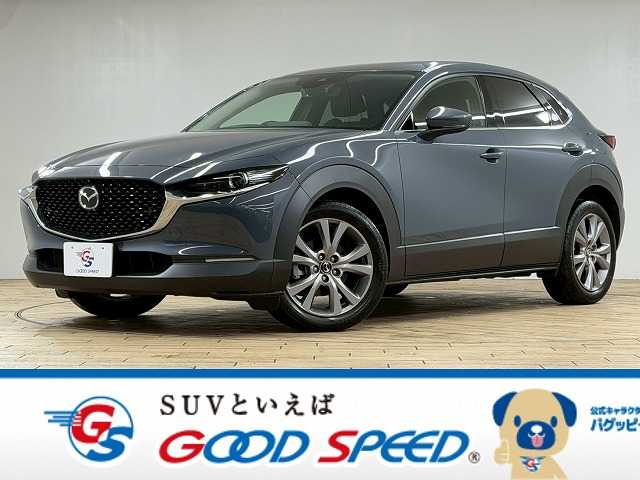 マツダCX-3020S Proactive Touring Selection