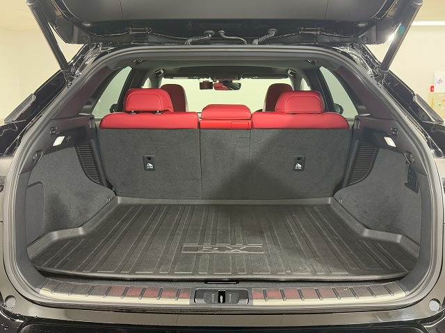 レクサス RXの画像13