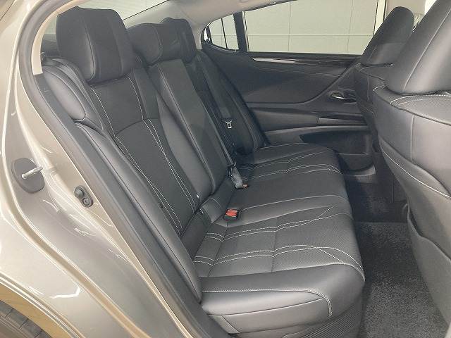 ESES300h “version L” 内装他