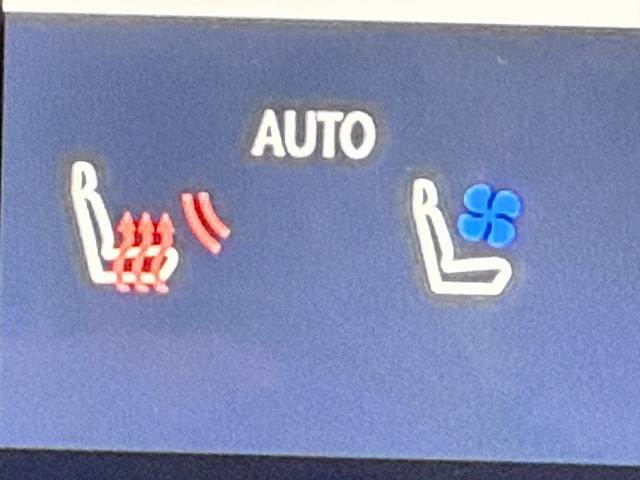 レクサス RXの画像12