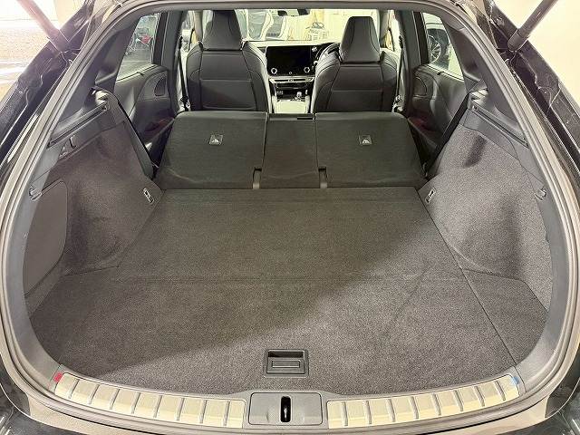 レクサス RXの画像13