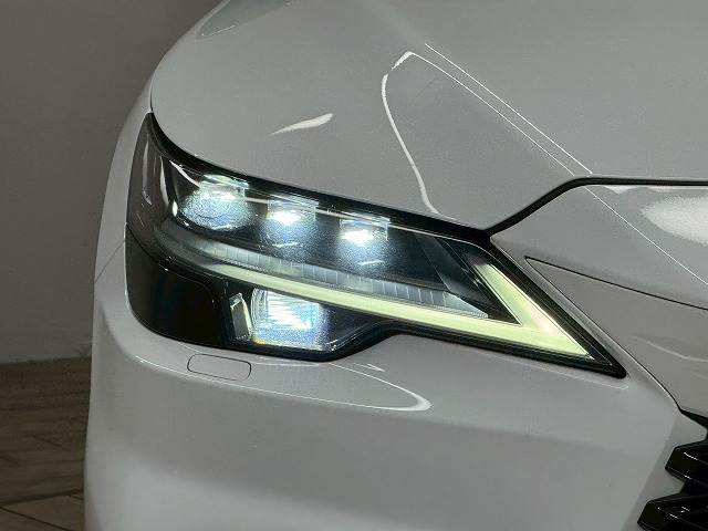 レクサス RXの画像19