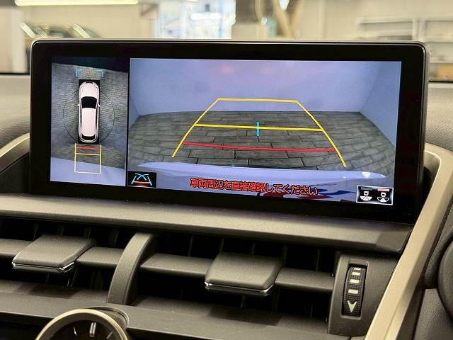 NXNX300 “F SPORT” 内装他