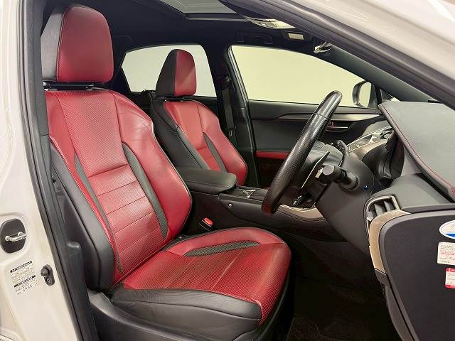 NXNX300 “F SPORT” 内装他