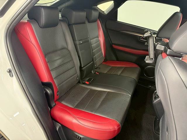 NXNX300 “F SPORT” 内装他