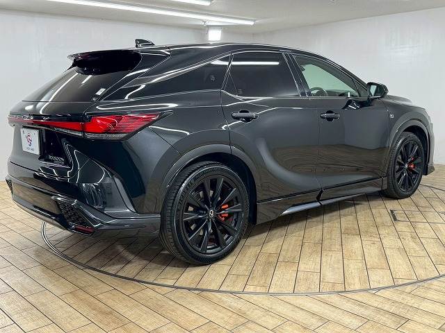 レクサス RXの画像17