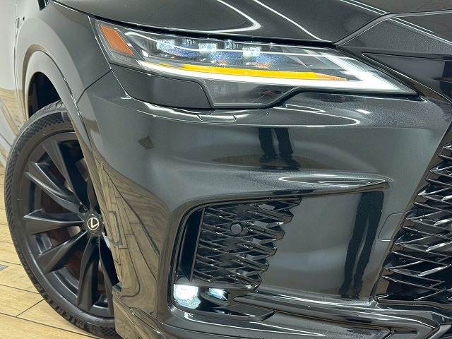 レクサス RXの画像20