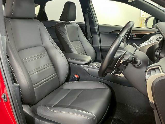 NXNX300 ブロンズエディション 内装他