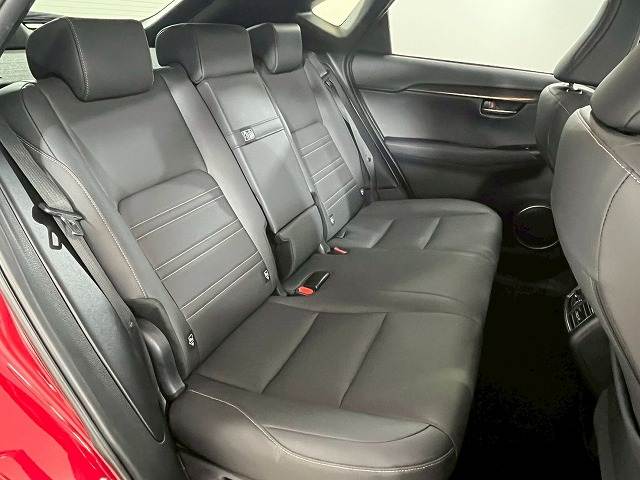 NXNX300 ブロンズエディション 内装他