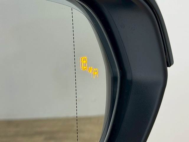 レクサス RXの画像10