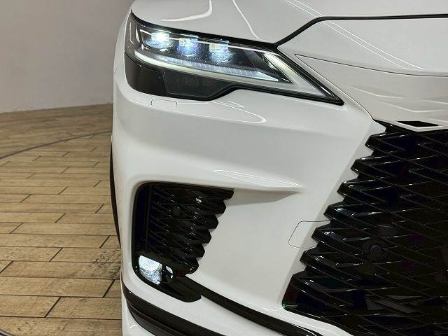 レクサス RXの画像19