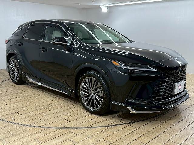 レクサス RXの画像14