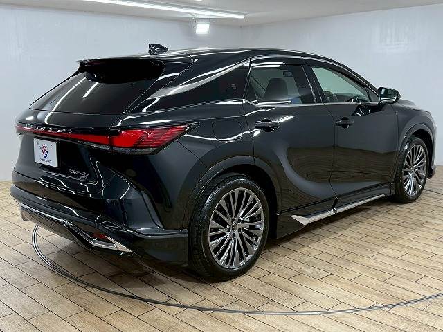 レクサス RXの画像16