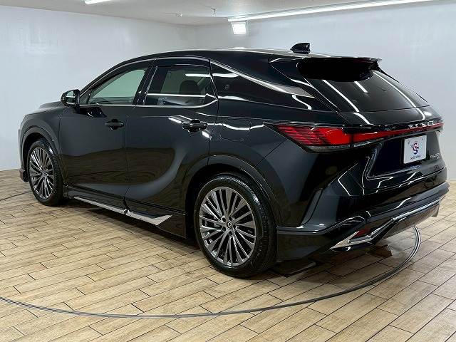 レクサス RXの画像17