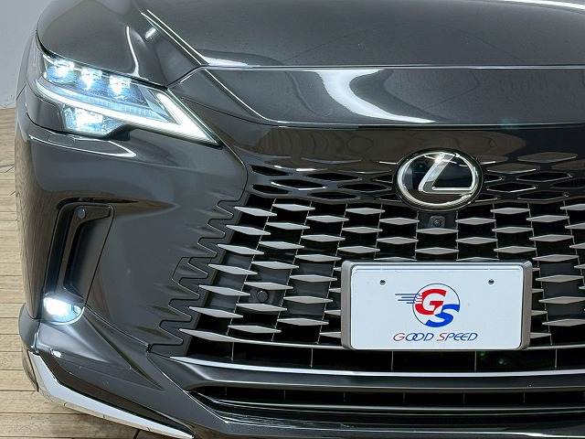 レクサス RXの画像19