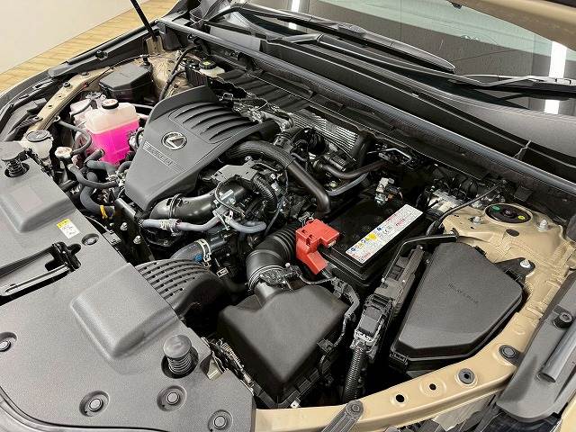 レクサス NXの画像18