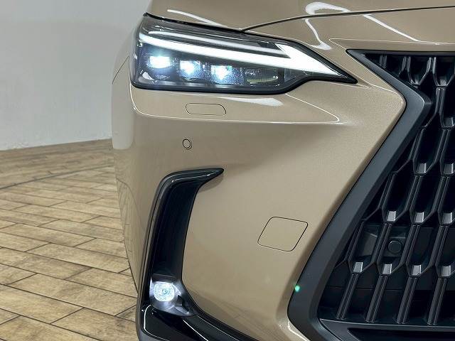 レクサス NXの画像19