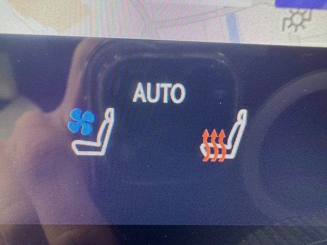 レクサス NXの画像10