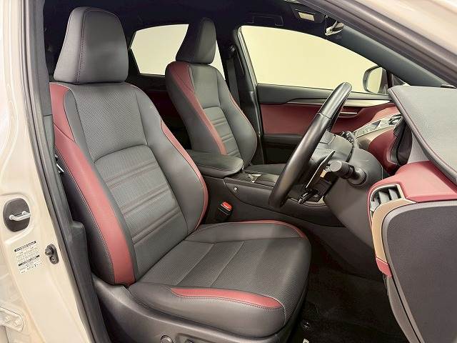 NXNX300 スパイス&シック 内装他