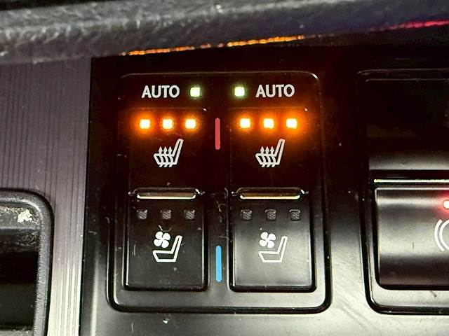 レクサス RXの画像10