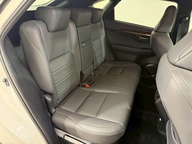 NXNX300 スパイス＆シック 内装他