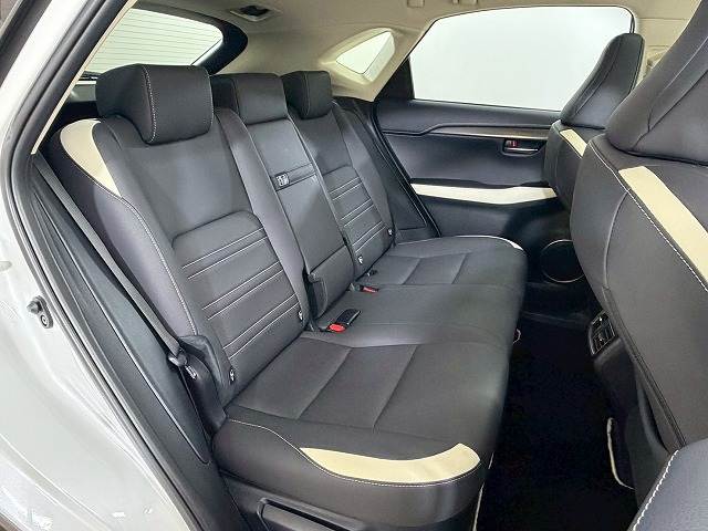 NXNX300 ブラックシークエンス 内装他