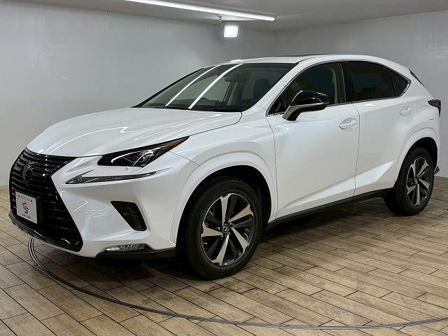 レクサス&nbsp;NXの画像15