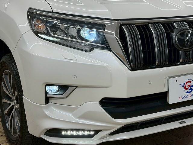 トヨタ&nbsp;ランドクルーザープラドの画像19