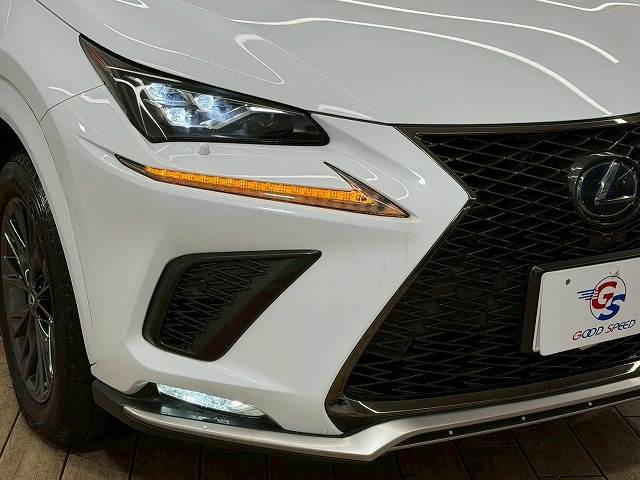 レクサス NXの画像20