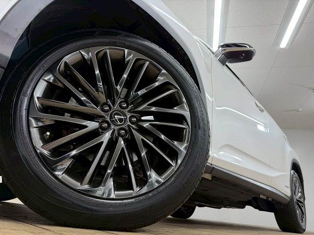 レクサス&nbsp;RXの画像20