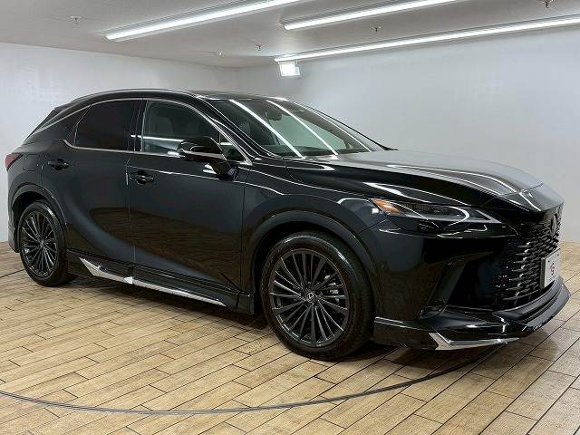 レクサス&nbsp;RXの画像14