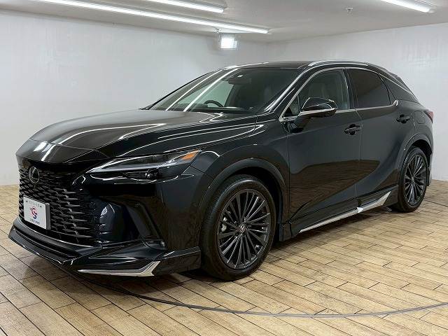 レクサス&nbsp;RXの画像15